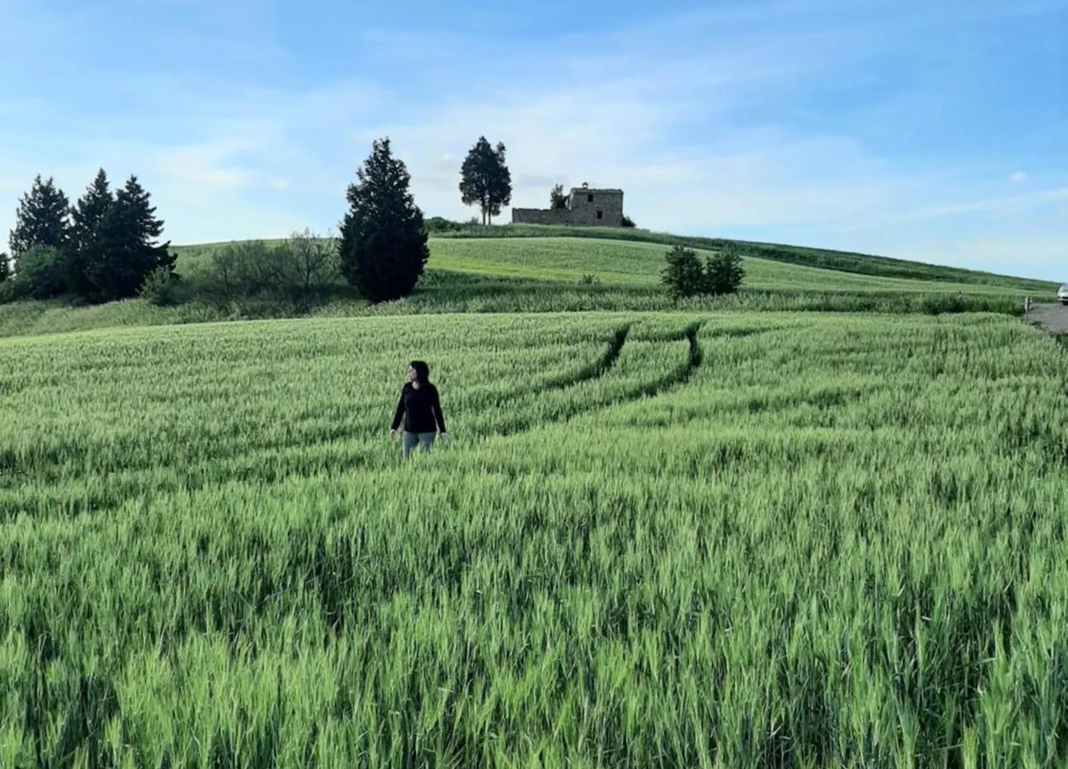 Terisuite 14 Siena